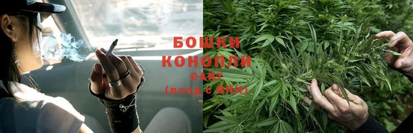 дживик Беломорск